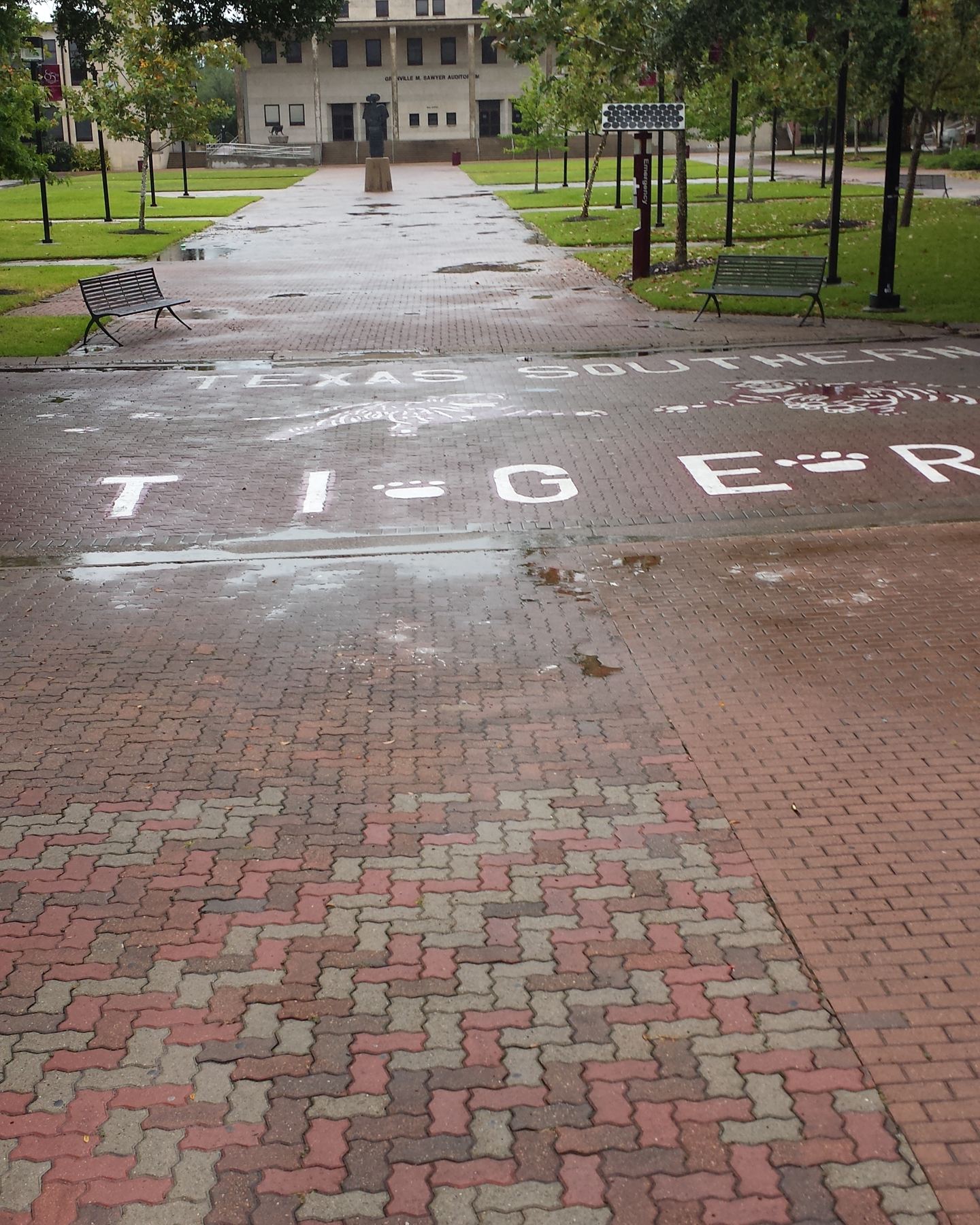 Tiger Walk leading to the Granville Sawyer Auditorium at Texas Southern University